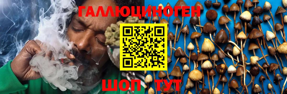Галлюциногенные грибы MAGIC MUSHROOMS  Псилоцибиновые грибы ЛСД  Тихорецк  Вход с VPN 